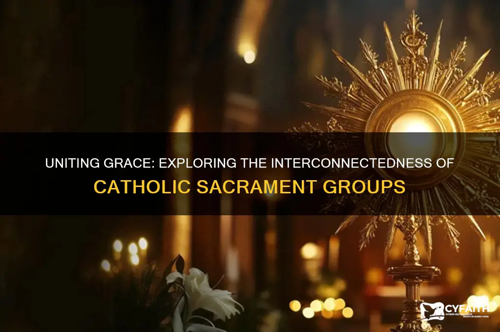 how are the 3 groups of catholic sacraments connected