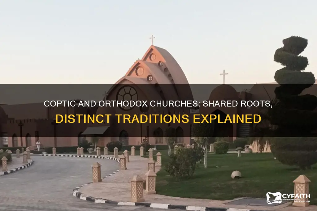how are the coptic church and orthodox church related