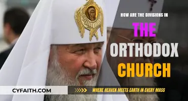 Understanding the Historical and Theological Divisions in the Orthodox Church