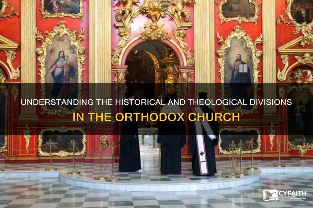 how are the divisions in the orthodox church