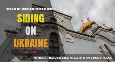 Orthodox Churches Divided: Ukraine War Allegiances and Theological Tensions