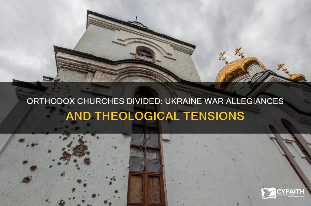 how are the various orthodox churches siding on ukraine