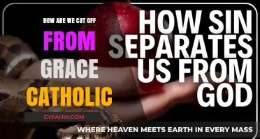 Finding Grace: A Catholic's Journey Back to Faith