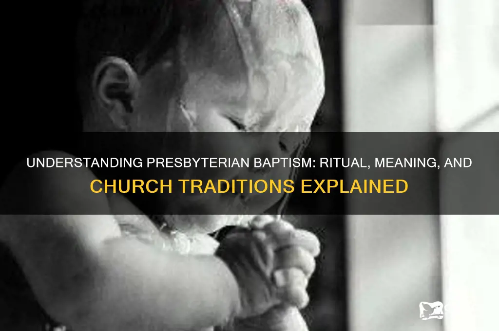 how are you baptized in a presbyterian church