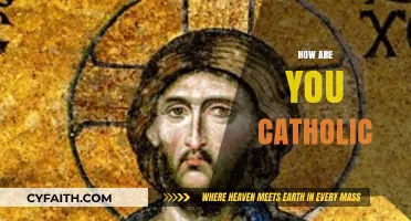 Exploring Faith: What It Means to Live as a Catholic Today