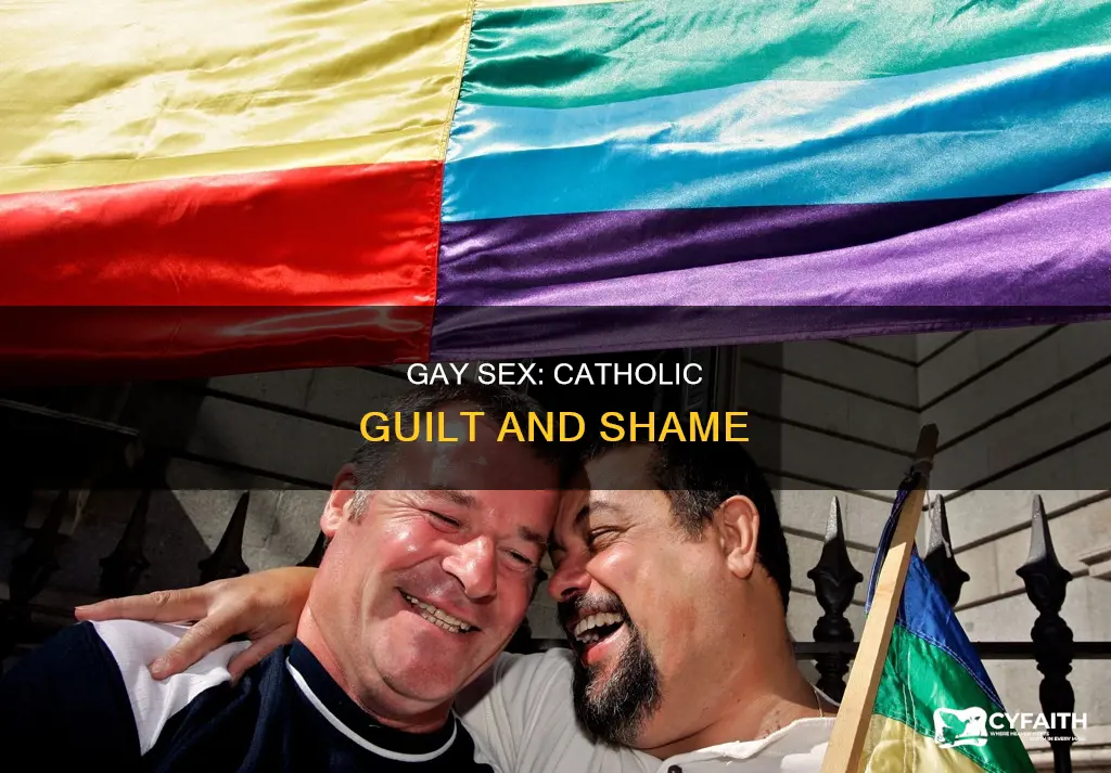 how bad is gay sex catholic