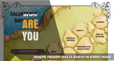 Exploring Your Faith: A Journey into Baptist Beliefs and Practices