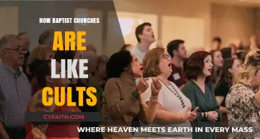 Unveiling the Cult-Like Dynamics Within Baptist Churches