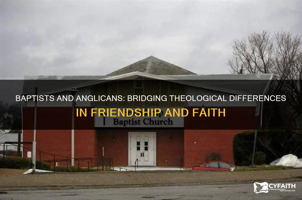 how baptists feel with their anglican friends