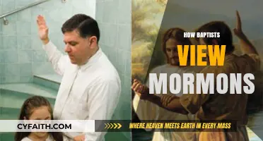 Understanding Mormonism: A Baptist Perspective on Latter-day Saints