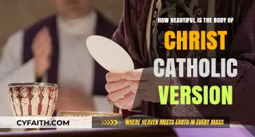 The Catholic Perspective: Exploring the Sacred Beauty of Christ's Body