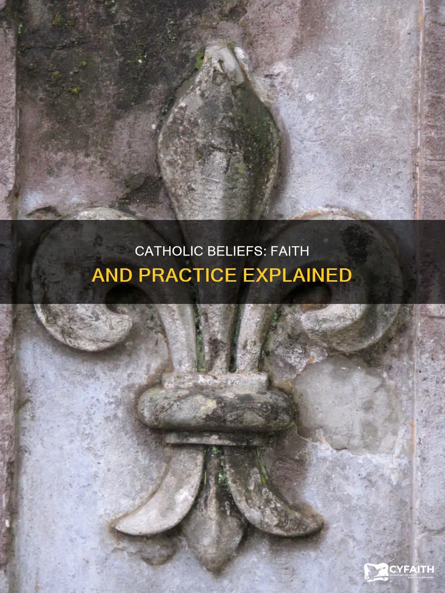 how belief is revealed in catholic