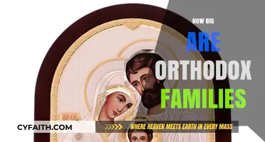 Exploring the Size and Structure of Orthodox Families Worldwide