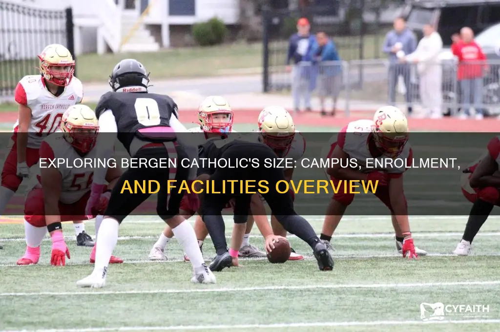 how big is bergen catholic