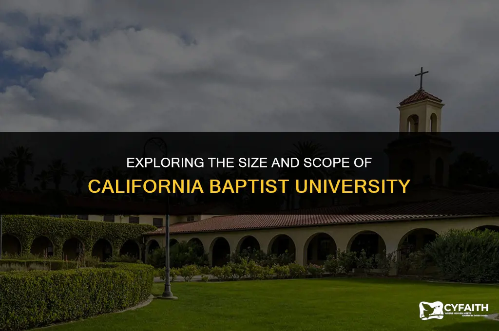 how big is cal baptist