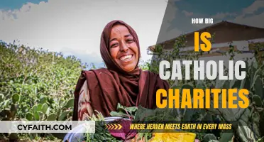 Exploring the Global Reach and Impact of Catholic Charities Worldwide
