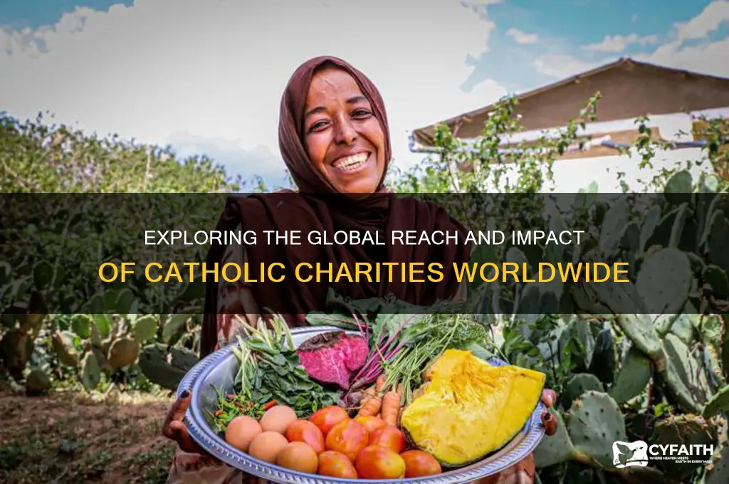 how big is catholic charities