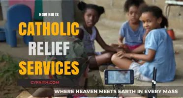 Global Reach, Local Impact: Catholic Relief Services' Worldwide Presence