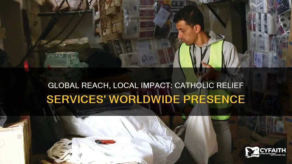 how big is catholic relief services