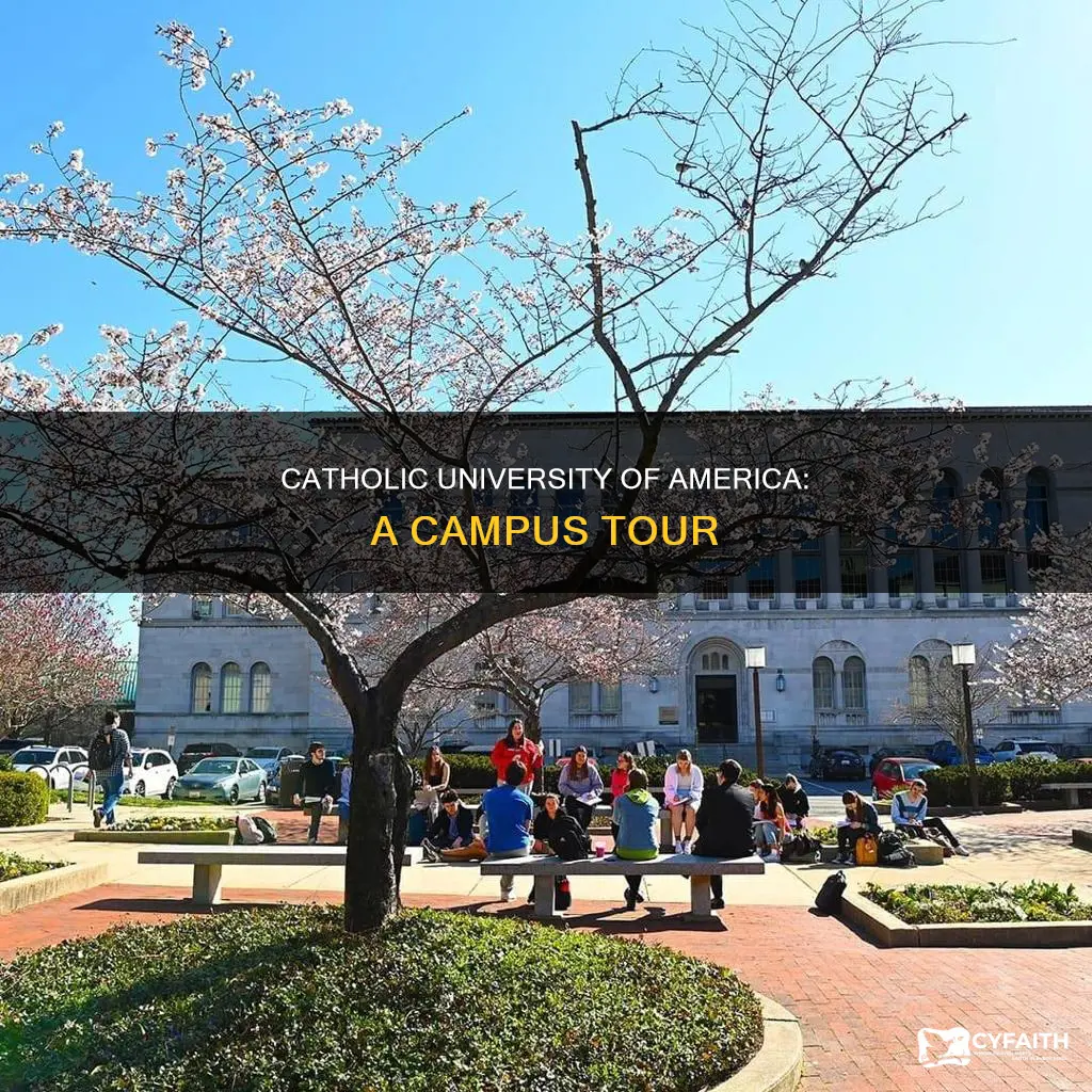 how big is catholic university of a