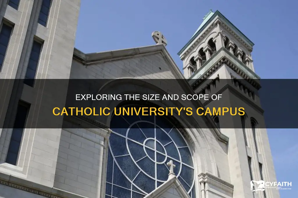 how big is catholic university