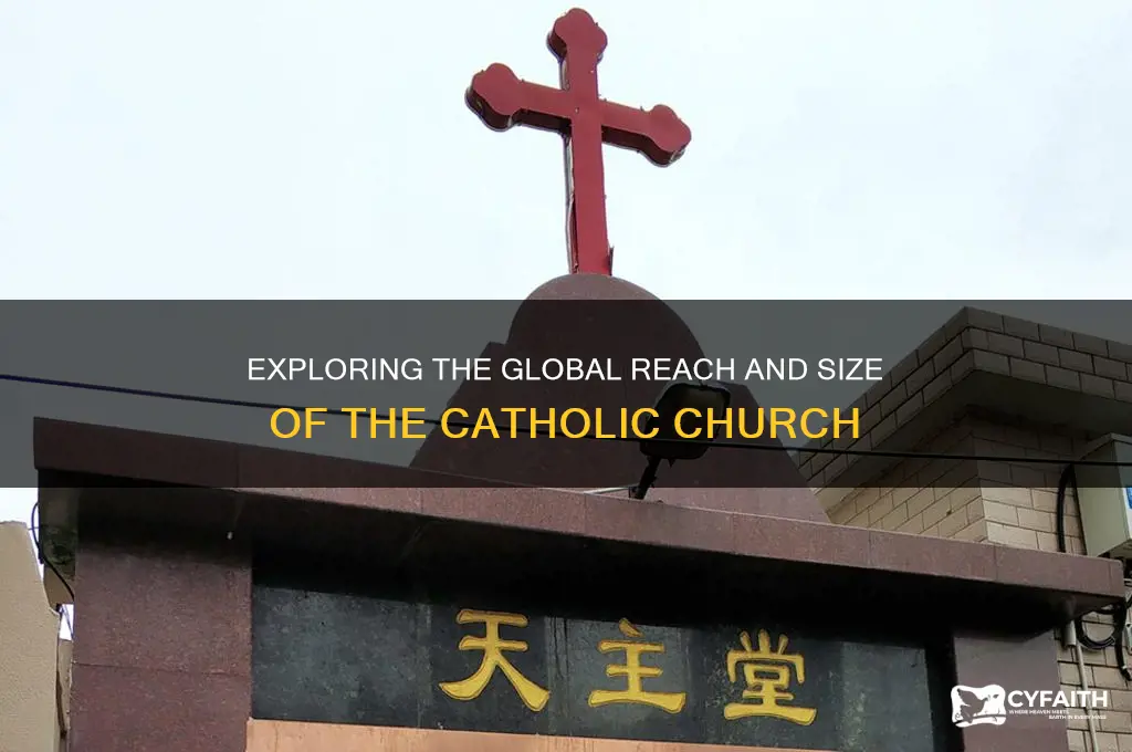 how big is catholic