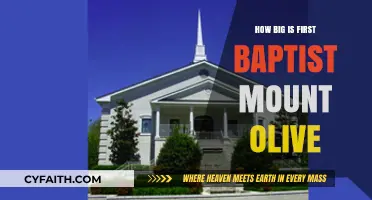 Exploring the Size and Impact of First Baptist Mount Olive
