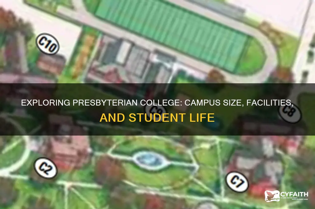 how big is presbyterian college