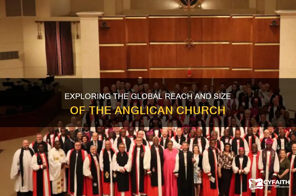how big is the anglican church