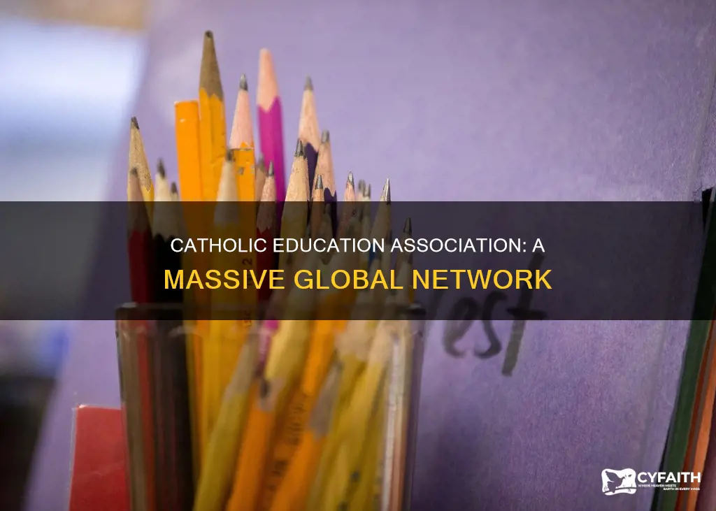how big is the national catholic education association