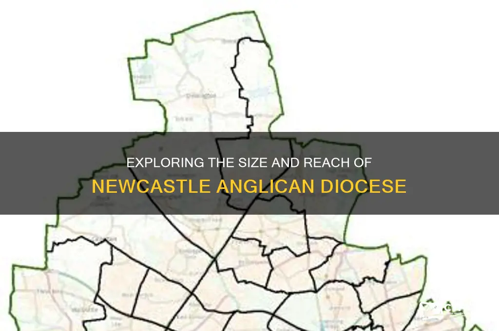 how big is the newcastle anglican diocese