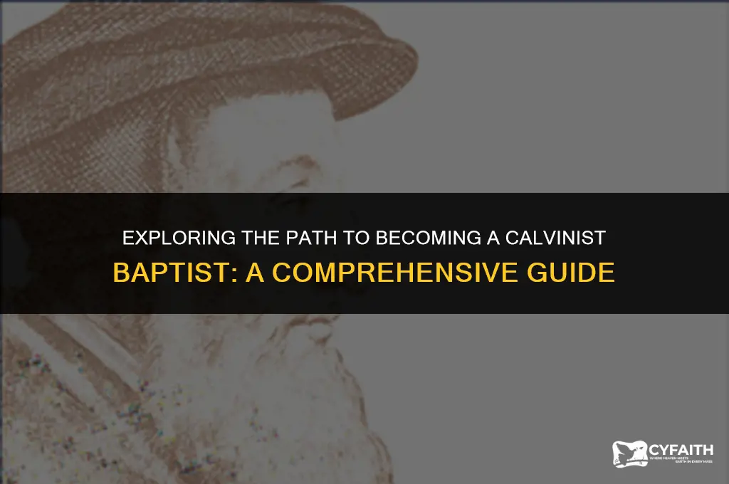 how can one be calvinist baptist