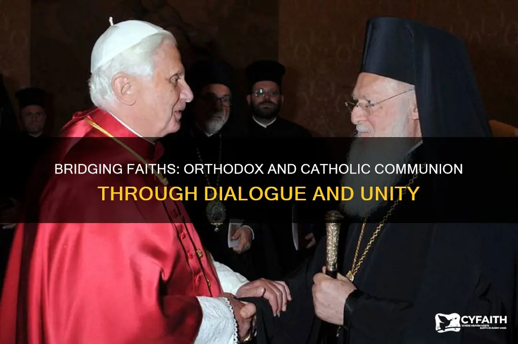 how can orthodox commune with catholics