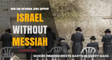Supporting Israel: Orthodox Jewish Perspectives Beyond Messiah's Arrival