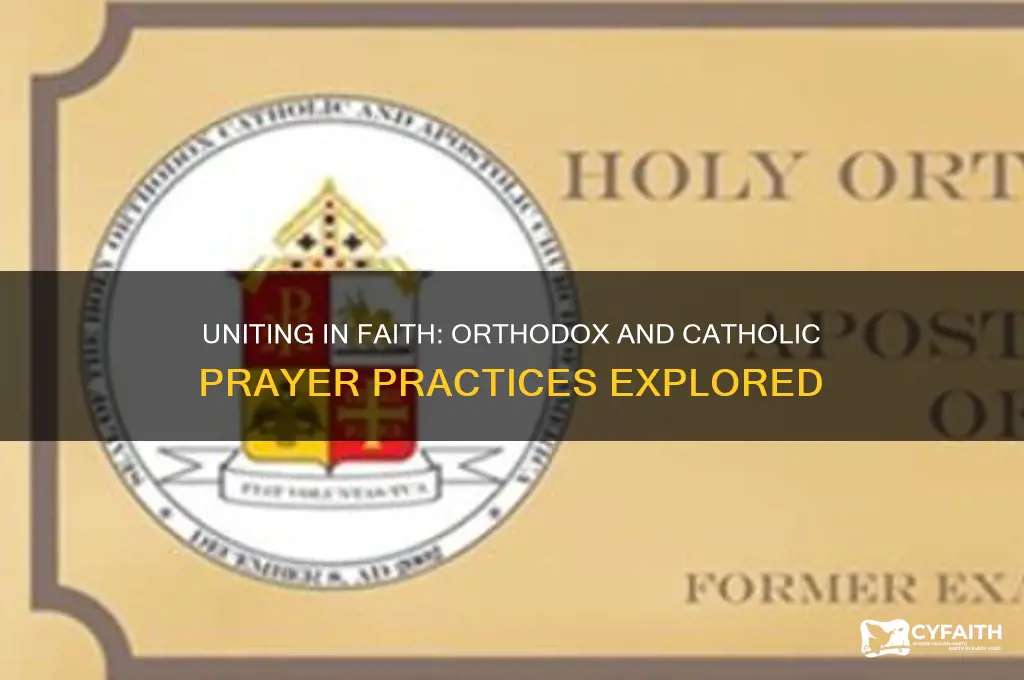 how can orthodox pray with catholics
