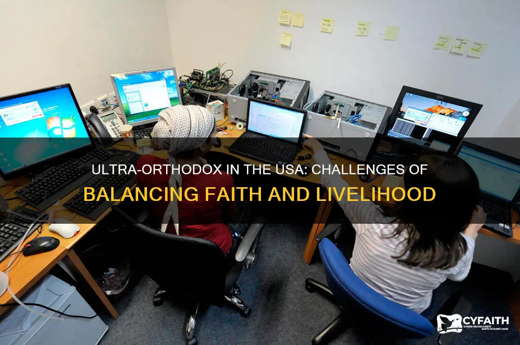 how can ultra-orthodox in usa not work