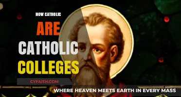 Exploring Catholic Identity: How Faithful Are Catholic Colleges Today?