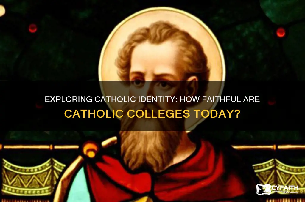 how catholic are catholic colleges