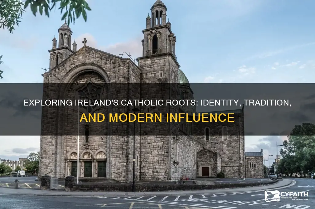 how catholic are the irish