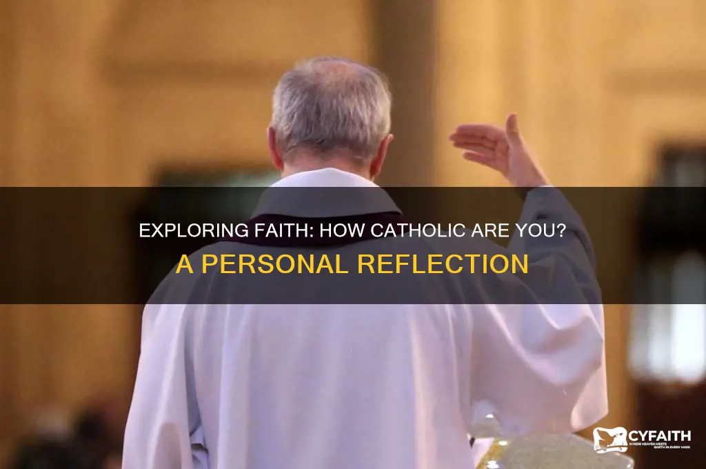 how catholic are you essay