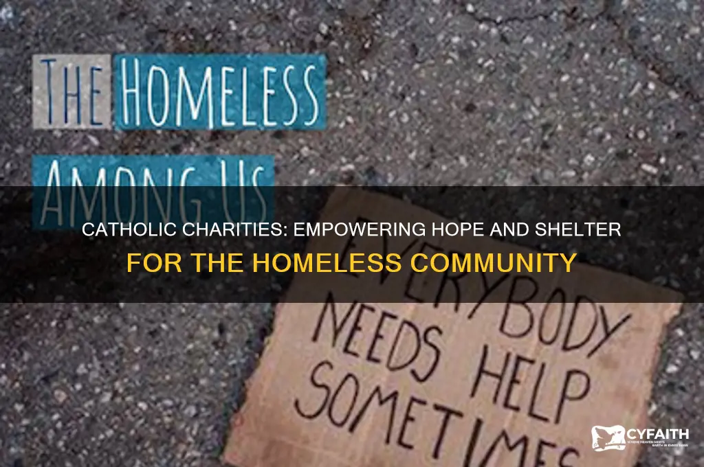 how catholic charities for homeless