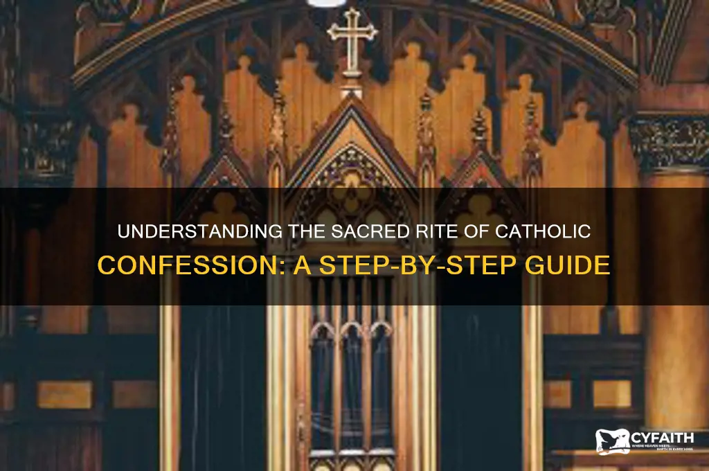 how catholic confession works