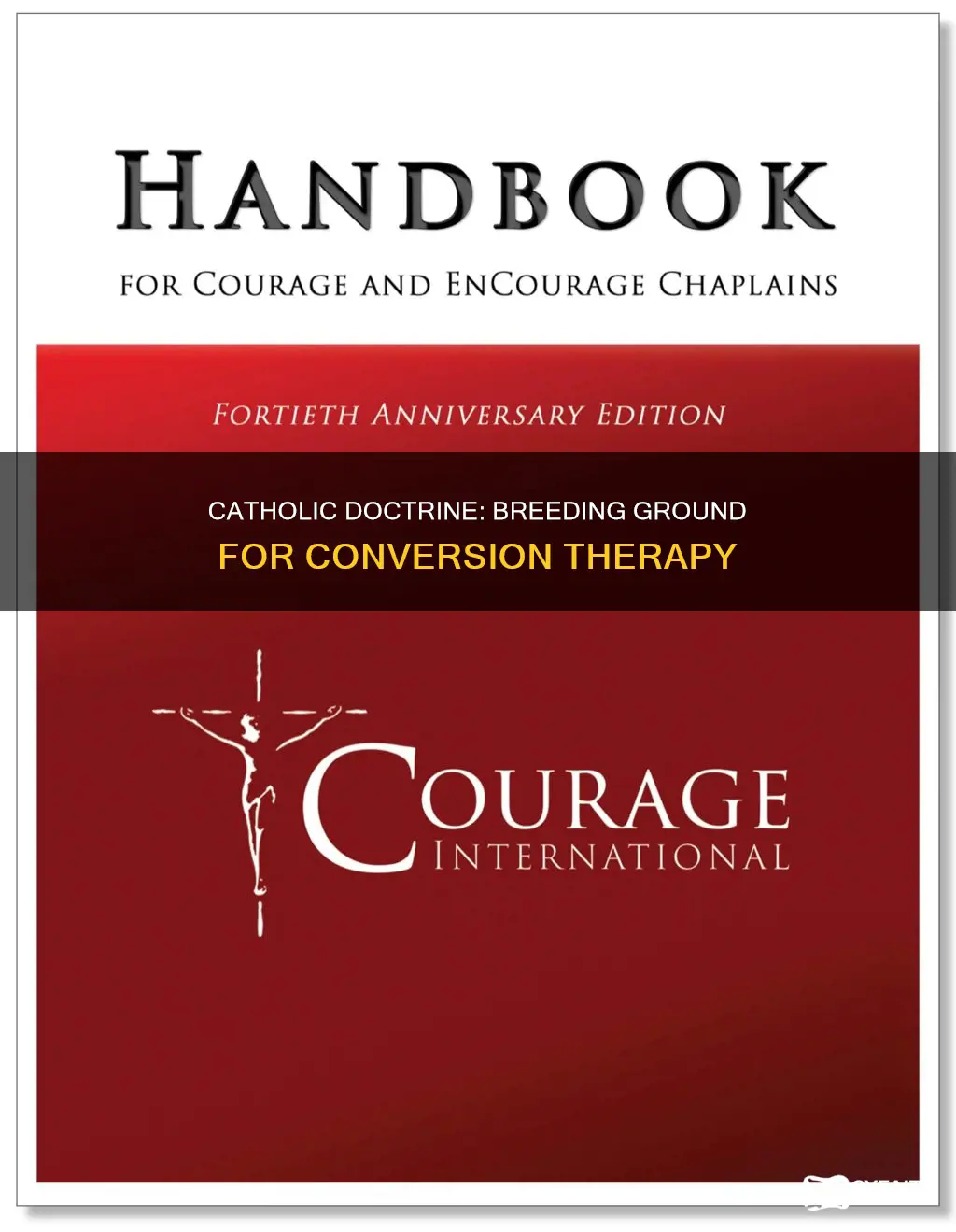 how catholic doctrine shaped conversion therapy