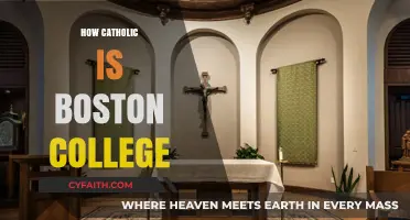 Boston College's Catholic Identity: Tradition, Influence, and Modern Campus Life