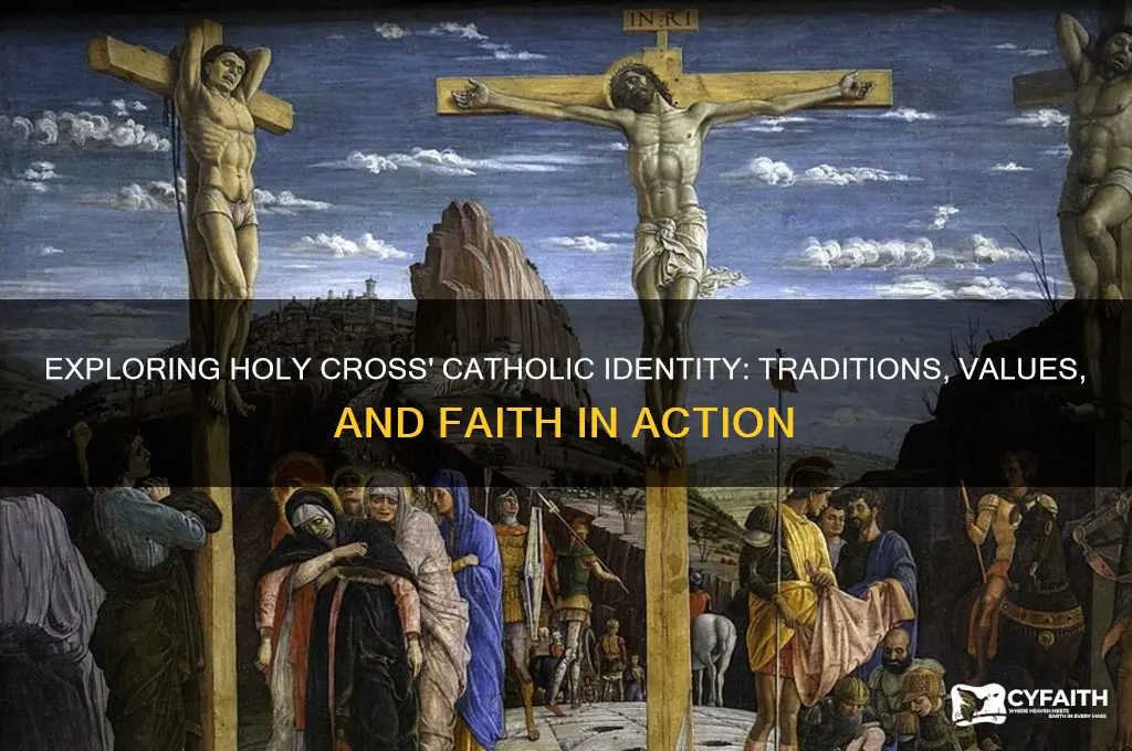 how catholic is holy cross
