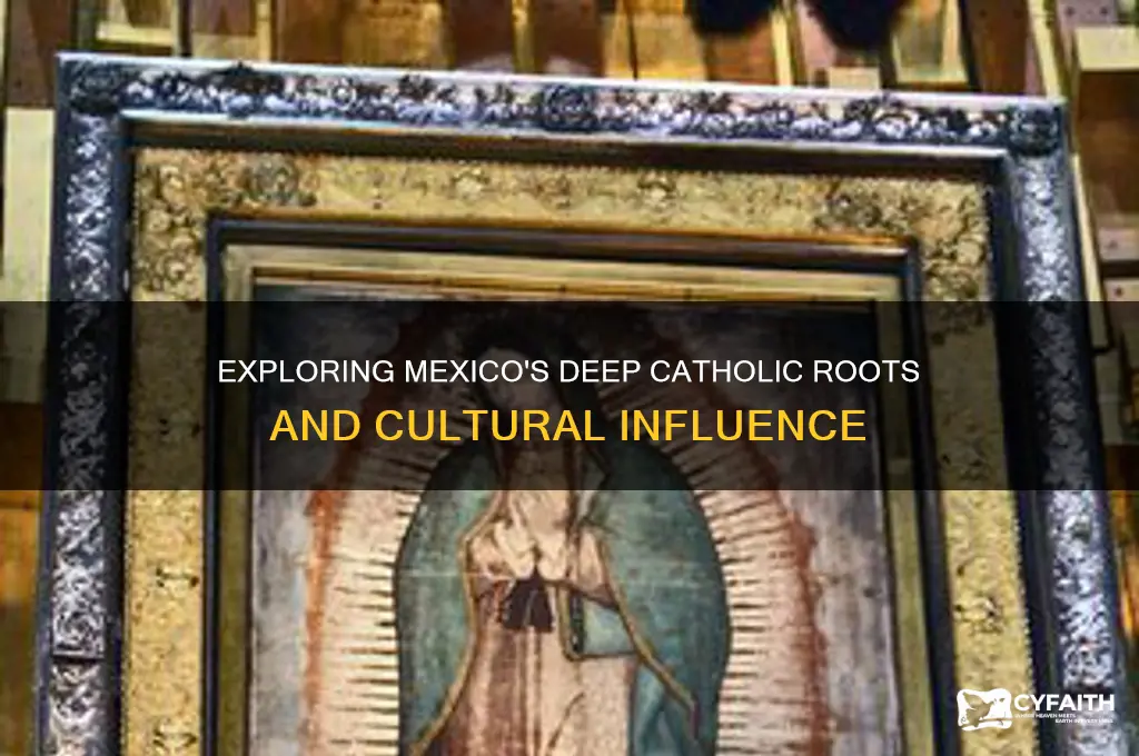 how catholic is mexico