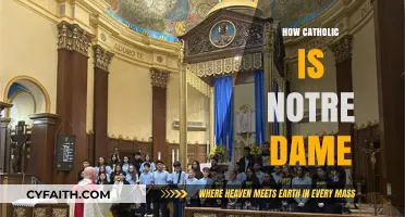Exploring Notre Dame's Catholic Identity: Traditions, Values, and Legacy