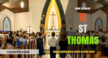 Exploring St. Thomas Aquinas' Catholic Influence and Theological Legacy