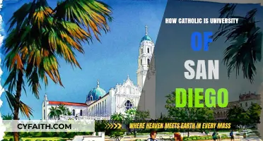 San Diego University: Catholic Education, Modern Values