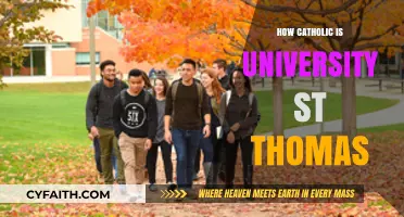St. Thomas: Catholic University, Catholic Education